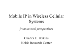 Mobile IPv6 & Cellular Telephony