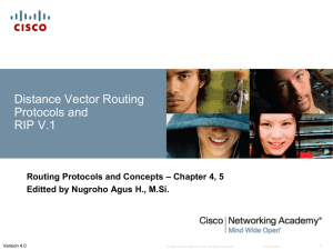 Distance Vector Routing Protocols