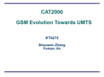 CAT2000 GSM Evolution Towards UMTS