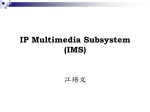 IP Multimedia Subsystem (IMS)