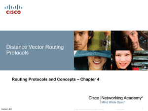 Distance Vector Routing Protocols