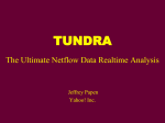 TUNDRA The Ultimate Netflow Data Realtime Analysis