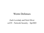 Worm Defenses