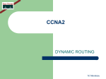 CCNA2 Module 7
