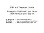 Transparent SDH/SONET over Packet (draft-manhoudt-pwe3