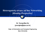 Heterogeneity-aware Ad hoc Networking