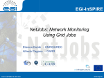 Grid Jobs for Network Monitoring for the Grid