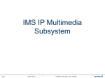 IMS Presentation