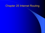 Chapter 25 Internet Routing