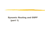 Dynamic Routing and OSPF
