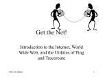 Introduction to the Internet, ping and traceroute