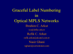 Refinement on MPLS: An Application of Graceful Numbering to IP