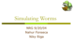 Simulating Worms