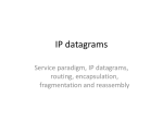 IP datagrams and datagram forwarding