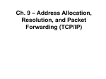 TCP/IP Protocol Suite