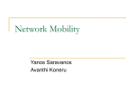 Network Mobility