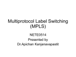 Multiprotocol Label Switching (MPLS)