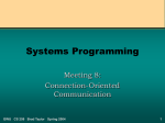 Systems Programming 8 (Connection