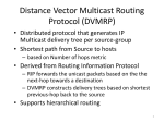 Distance Vector Multicast Routing Protocol