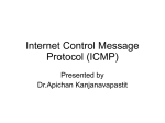 Internet Control Message Protocol (ICMP)