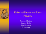 E-Surveillance and User Privacy