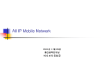 All IP 3G Movements 3GPP Network Architecture 3GPP2 Network