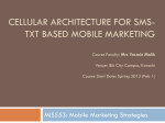 MIS553_SMS_CellularArchitecture_2012
