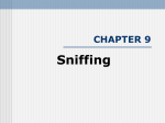 Chap09 Sniffing
