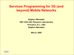 A Framework for 3G (and 4G) IP Mobile Networking