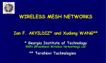 wireless mesh networks