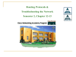 Routing Protocols & Troubleshooting the Network Semester 2