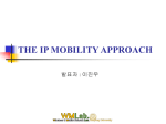 THE IP MOBILITY APPROACH
