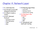 Network Layer Part III