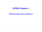CCNA2 Chapter 1 Wide Area Networks and Routers