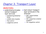 Transport Layer and Resource Allocation