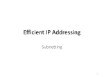Efficient IP Addressing