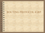 ROUTING PROTOCOL IGRP