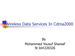 Wireless Data Services In Cdma2000