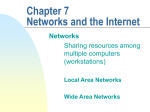 Chapter 7 Networks and the Internet
