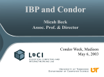 IBP and Condor - Computer Sciences Dept.