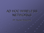 ad hoc wireless networks