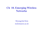 Ch.10 - Emerging Wireless Networks