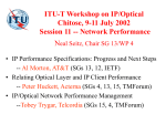 ITU-T Workshop on IP/Optical Session 11: Network Performance