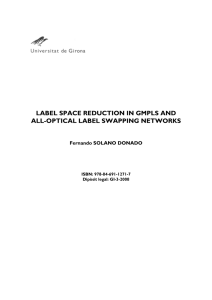 LABEL SPACE REDUCTION IN GMPLS AND ALL-OPTICAL LABEL SWAPPING NETWORKS