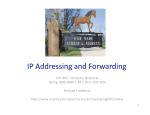 IP Addressing and Forwarding 