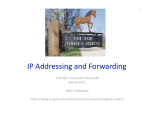 IP Addressing and Forwarding 