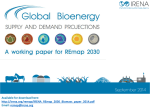 Bioenergy working paper slidedeck