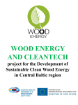 WOOD ENERGY AND CLEANTECH