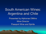 South American Wines: Argentina and Chile