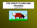THE GREAT PLAINS AND PRAIRIES